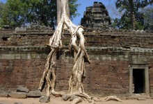 Cambodge : Angkor