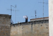 Italie du Sud : Les Pouilles : Lecce, Bari, Trani