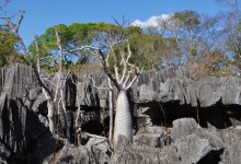Madagascar : Tsingy