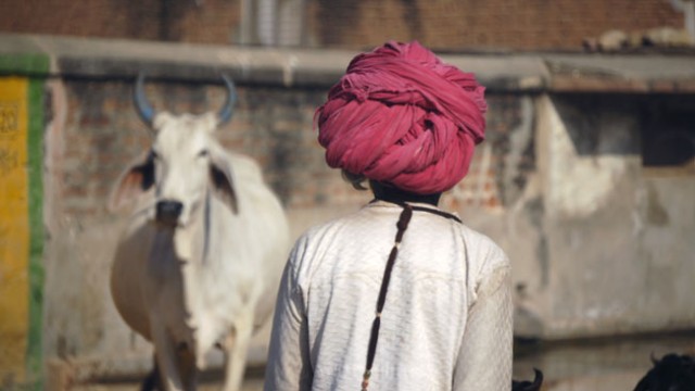 Inde : Rajasthan