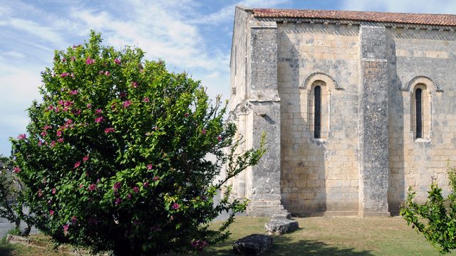 Charente : églises, maisons, châteaux